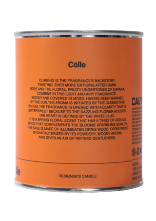 Citrus Noir - Candle