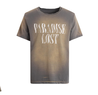 Lithium Paradise Lost T-Shirt - Gray
